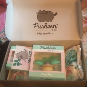 PUSHEEN BOX: Summer of 2020!🌼☀️🌊